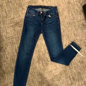 Judy Blue Skinny Jeans